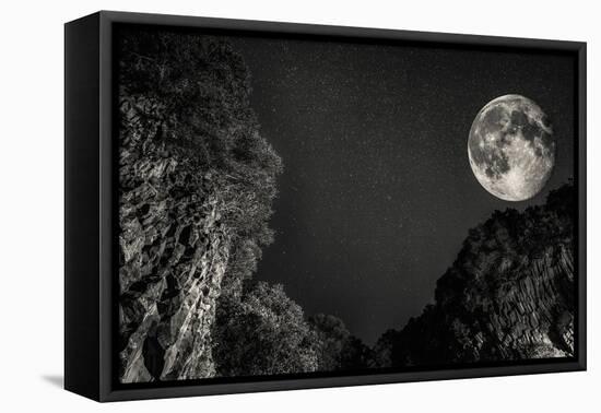 Moon-Giuseppe Torre-Framed Premier Image Canvas