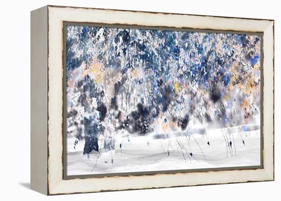 Moonbow's Tree-Ursula Abresch-Framed Premier Image Canvas