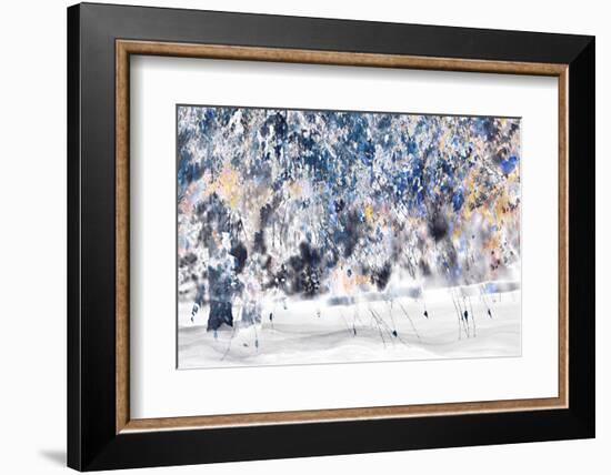 Moonbow's Tree-Ursula Abresch-Framed Photographic Print