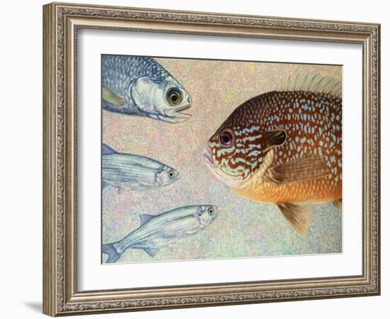 Mooneyes - Sunfish-James W Johnson-Framed Giclee Print