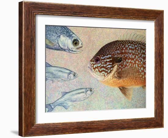 Mooneyes - Sunfish-James W Johnson-Framed Giclee Print