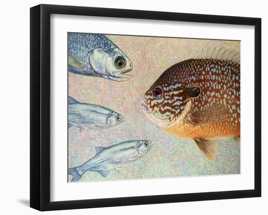 Mooneyes - Sunfish-James W Johnson-Framed Giclee Print