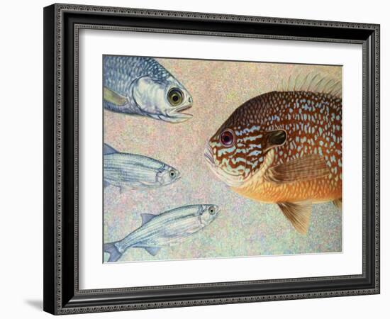 Mooneyes - Sunfish-James W Johnson-Framed Giclee Print