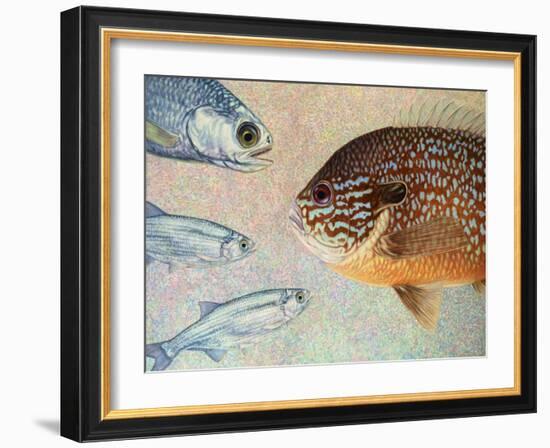 Mooneyes - Sunfish-James W Johnson-Framed Giclee Print