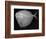 Moonfish-Sandra J. Raredon-Framed Art Print