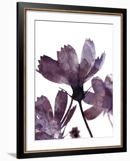 Moonflower II-Ken Hurd-Framed Giclee Print