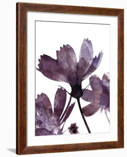 Moonflower II-Ken Hurd-Framed Giclee Print