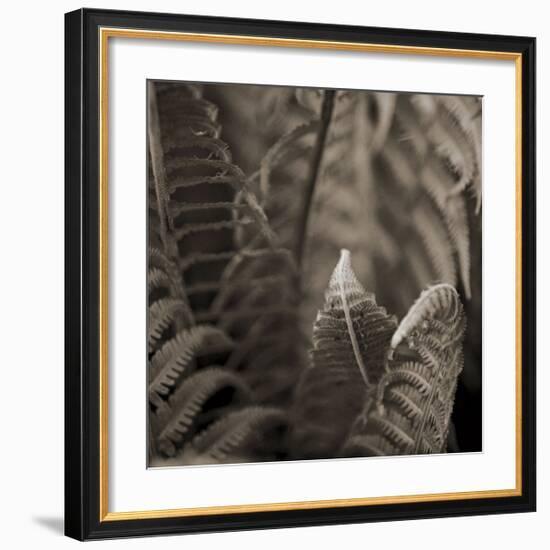 Moonglow II-Heather Johnston-Framed Giclee Print