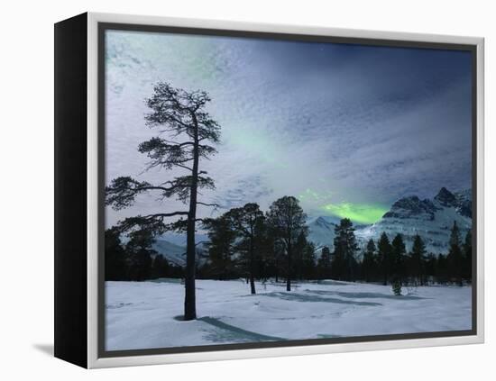 Moonlight And Aurora Borealis, Forramarka, Troms, Norway-Stocktrek Images-Framed Premier Image Canvas