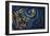 Moonlight, c.1958-Isabel Alexander-Framed Giclee Print