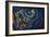 Moonlight, c.1958-Isabel Alexander-Framed Giclee Print