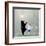 Moonlight Dance-Nancy Tillman-Framed Art Print