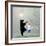 Moonlight Dance-Nancy Tillman-Framed Premium Giclee Print