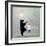 Moonlight Dance-Nancy Tillman-Framed Premium Giclee Print