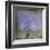 Moonlight in Vermont-Dawne Polis-Framed Giclee Print