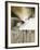 Moonlight Landing & the Egret-J^P^ Prior-Framed Giclee Print