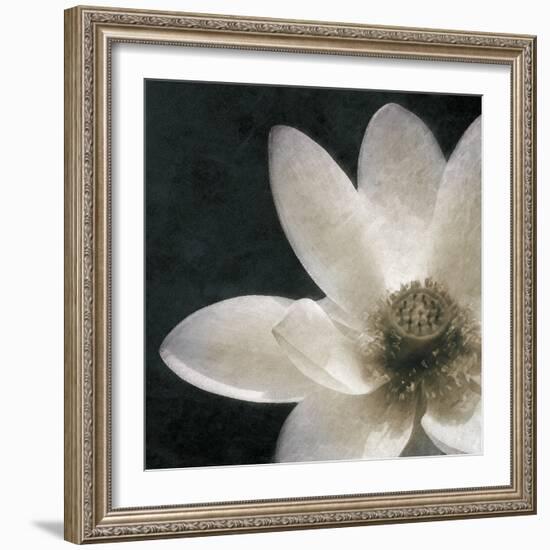 Moonlight Lily Pond II-Lucy Meadows-Framed Giclee Print