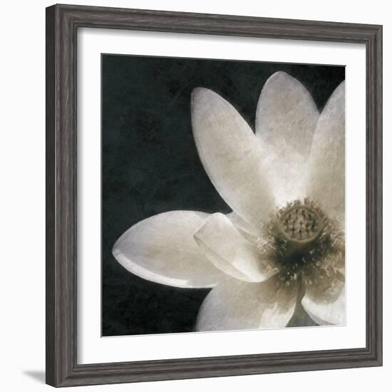 Moonlight Lily Pond II-Lucy Meadows-Framed Giclee Print