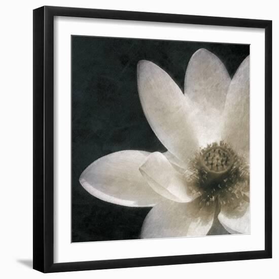 Moonlight Lily Pond II-Lucy Meadows-Framed Giclee Print