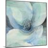 Moonlight Magnolia II-Albena Hristova-Mounted Art Print