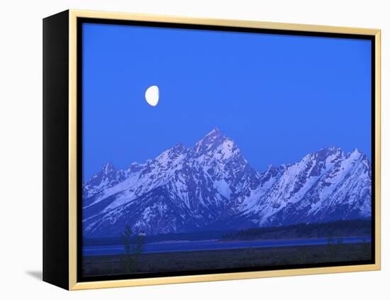 Moonlight on Grand Teton Range, Wyoming, USA-Stefano Amantini-Framed Premier Image Canvas