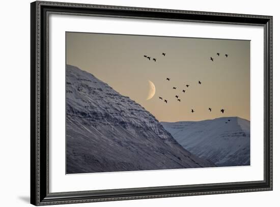 Moonlight over Snow Covered Mountain-Arctic-Images-Framed Premium Photographic Print