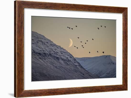 Moonlight over Snow Covered Mountain-Arctic-Images-Framed Premium Photographic Print