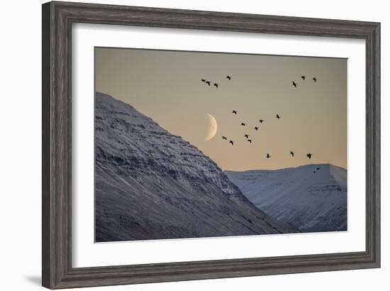 Moonlight over Snow Covered Mountain-Arctic-Images-Framed Photographic Print