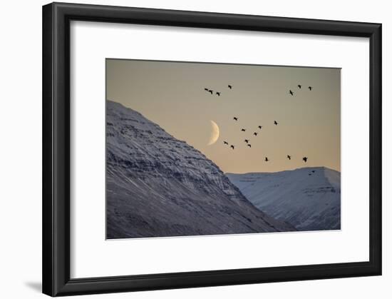 Moonlight over Snow Covered Mountain-Arctic-Images-Framed Photographic Print
