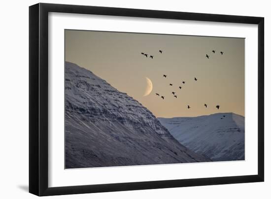 Moonlight over Snow Covered Mountain-Arctic-Images-Framed Photographic Print