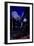 Moonlight Prey-Gordon Semmens-Framed Giclee Print