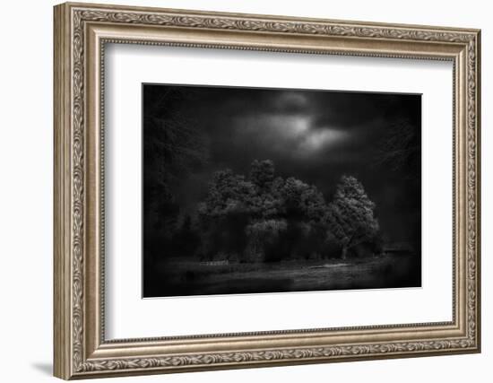 Moonlight RAaverie-Yvette Depaepe-Framed Photographic Print