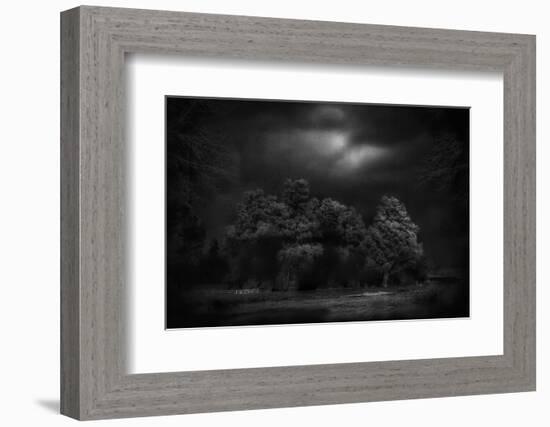 Moonlight RAaverie-Yvette Depaepe-Framed Photographic Print