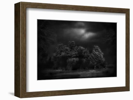 Moonlight RAaverie-Yvette Depaepe-Framed Photographic Print