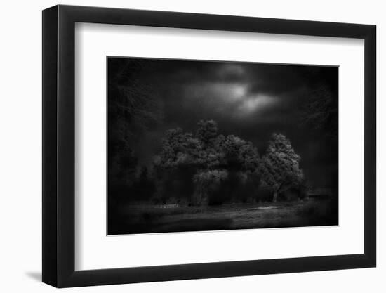 Moonlight RAaverie-Yvette Depaepe-Framed Photographic Print