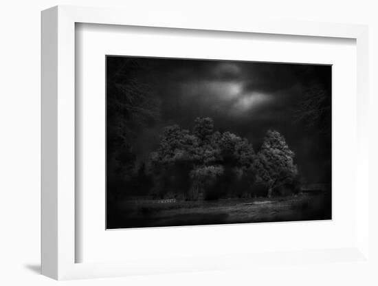 Moonlight RAaverie-Yvette Depaepe-Framed Photographic Print