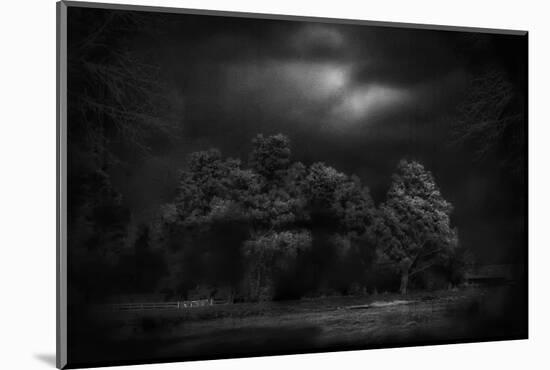 Moonlight RAaverie-Yvette Depaepe-Mounted Photographic Print