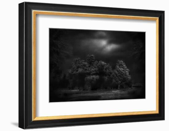 Moonlight RAaverie-Yvette Depaepe-Framed Photographic Print