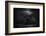 Moonlight RAaverie-Yvette Depaepe-Framed Photographic Print