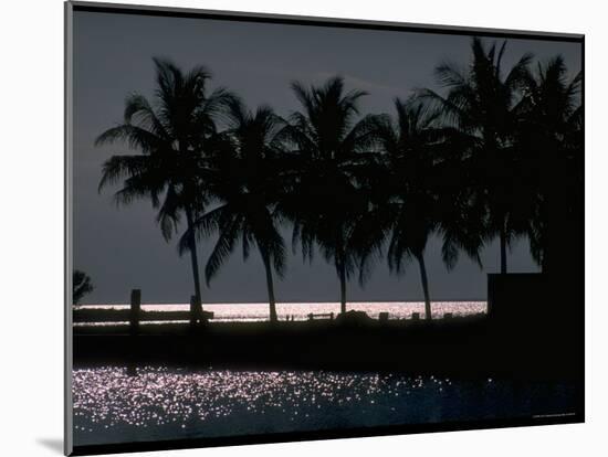 Moonlight Reflected on the Water at Key Biscayne, Florida-George Silk-Mounted Photographic Print