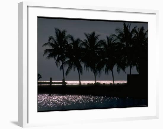 Moonlight Reflected on the Water at Key Biscayne, Florida-George Silk-Framed Photographic Print