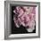 Moonlight & Roses I-Monika Burkhart-Framed Photo