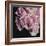 Moonlight & Roses I-Monika Burkhart-Framed Photo