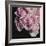 Moonlight & Roses I-Monika Burkhart-Framed Photo