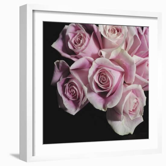 Moonlight & Roses I-Monika Burkhart-Framed Photo