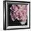 Moonlight & Roses I-Monika Burkhart-Framed Photo