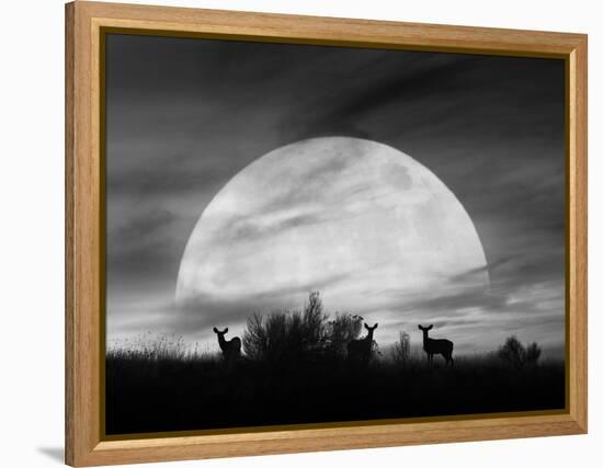 Moonlight Silhouette, Farmington Hills, Michigan '12-Monte Nagler-Framed Premier Image Canvas