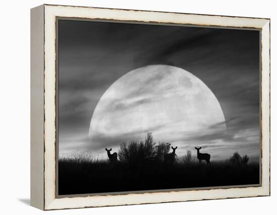 Moonlight Silhouette, Farmington Hills, Michigan '12-Monte Nagler-Framed Premier Image Canvas