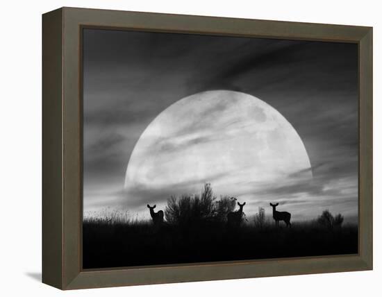 Moonlight Silhouette, Farmington Hills, Michigan '12-Monte Nagler-Framed Premier Image Canvas