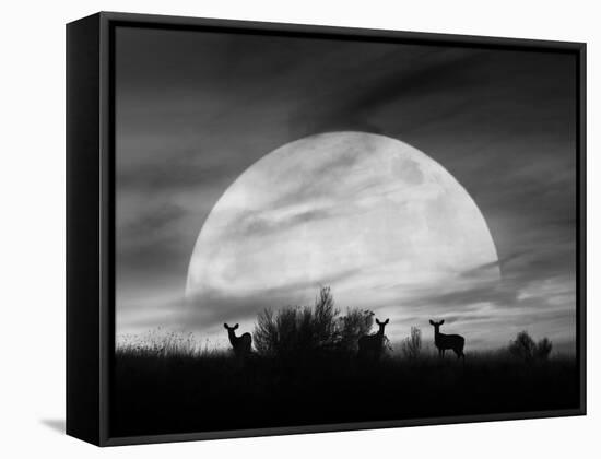 Moonlight Silhouette, Farmington Hills, Michigan '12-Monte Nagler-Framed Premier Image Canvas